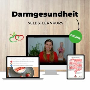 Selbstlernkurs Darmgesundheit Onlinekurs