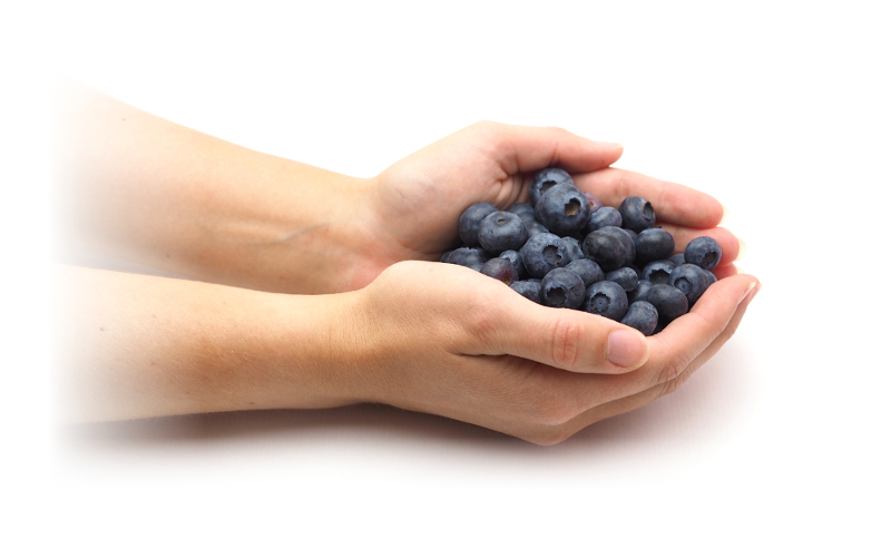 Essen is(s)t...Handportion Heidelbeeren Diaetologie Eberharter