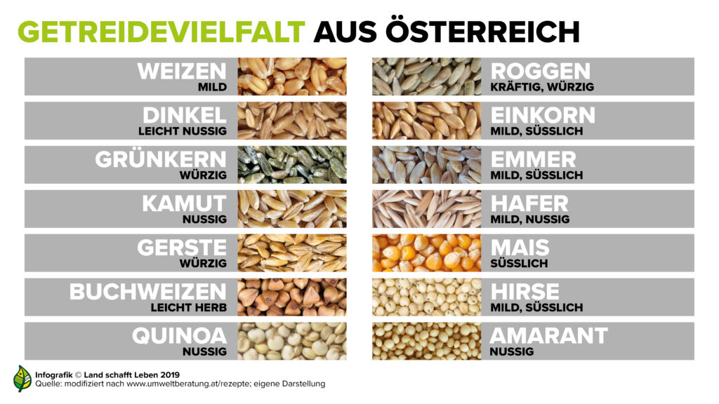 infografik-mehl---getreidevielfalt-uberblick-c-land-schafft-leben-2019