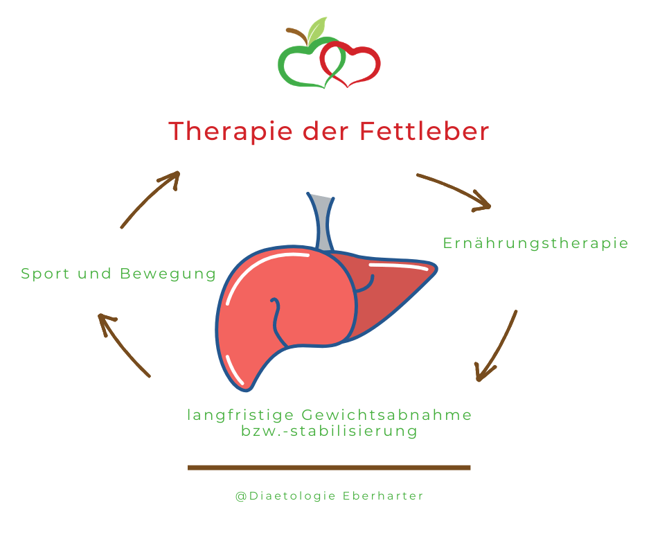 Grafik_Fettleber-Therapie_Diaetologie-Eberharter