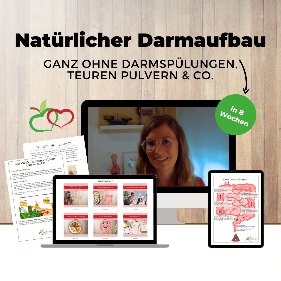 Produktbild-Darmgesundheit-Online-8-Wochen-Darmaufbau