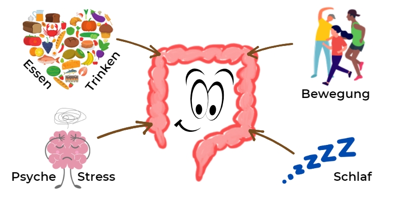 4 Faktoren, die deine Darmgesundheit beeinflussen