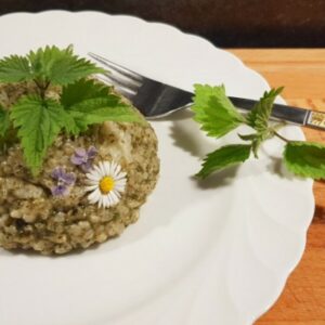 Blog_Titelbild_Brennnesselrisotto