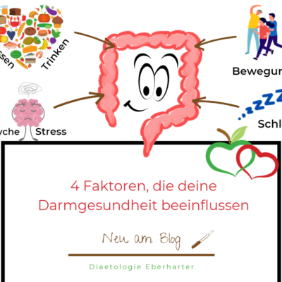 Blogbeitrag_FB_Faktoren_Darmgesundheit