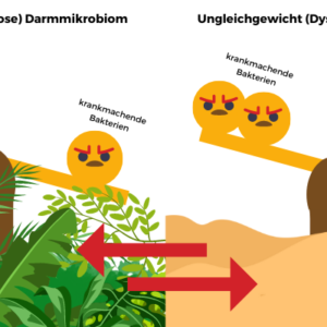 Immunschwäche & Darm – Wie Entzündungen unsere Gesundheit beeinflussen