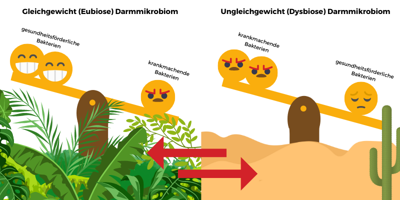 Immunschwäche & Darm – Wie Entzündungen unsere Gesundheit beeinflussen