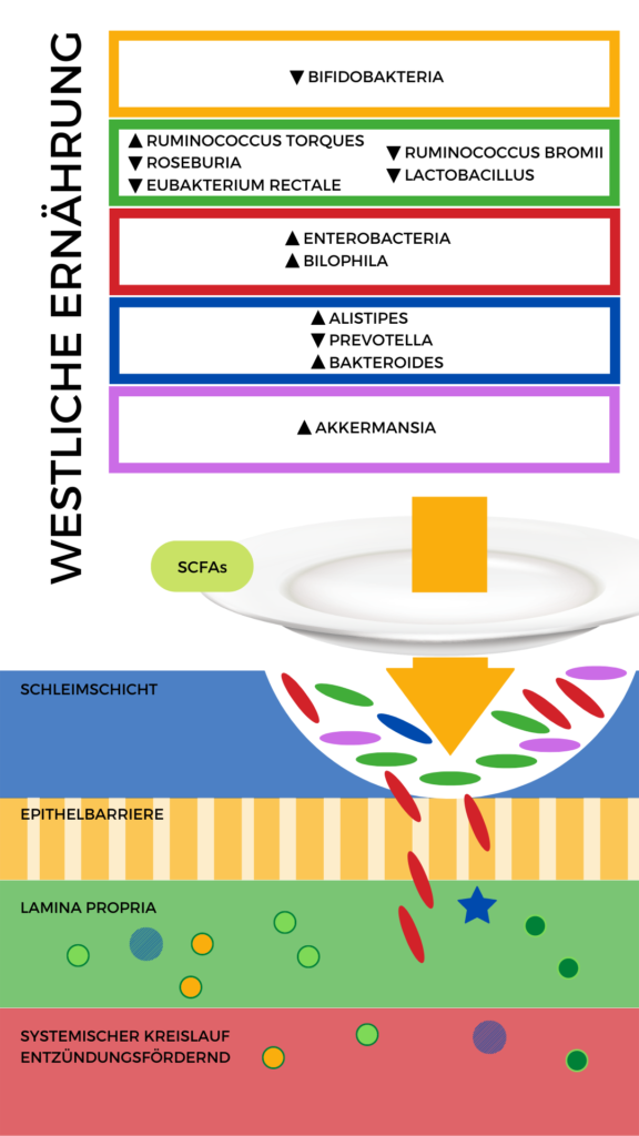 westliche Ernährung westliche Ernährung