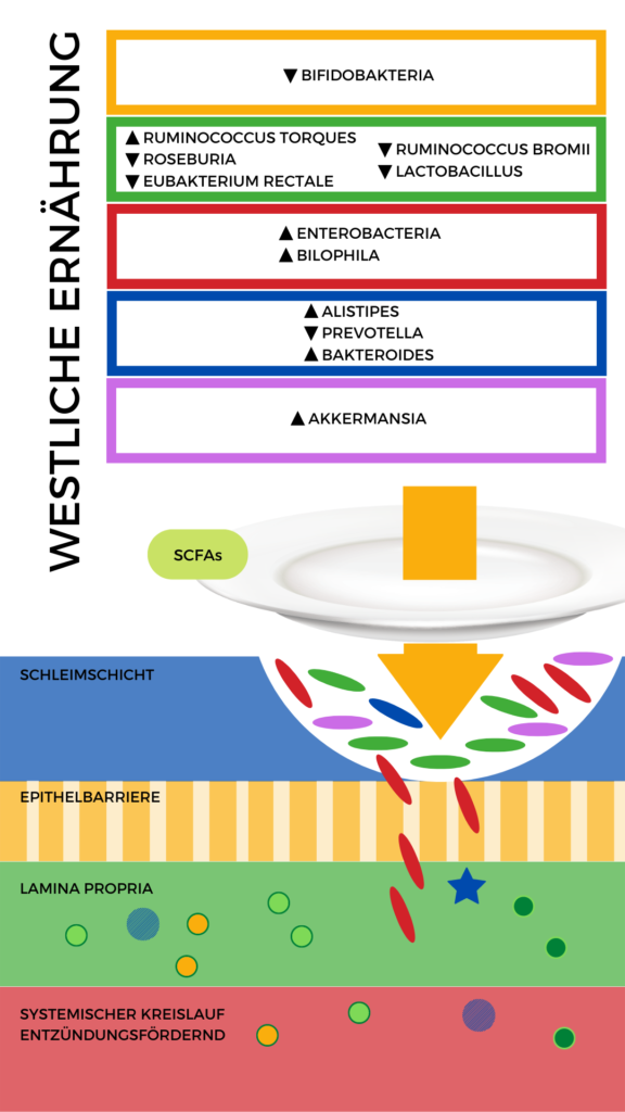 westliche Ernährung