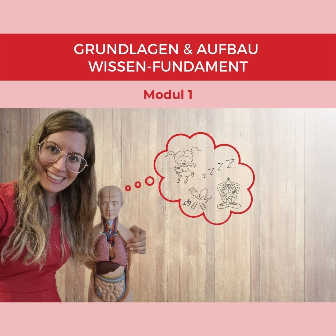 Modul 1_ Grundlagen & Aufbau Wissen-Fundament