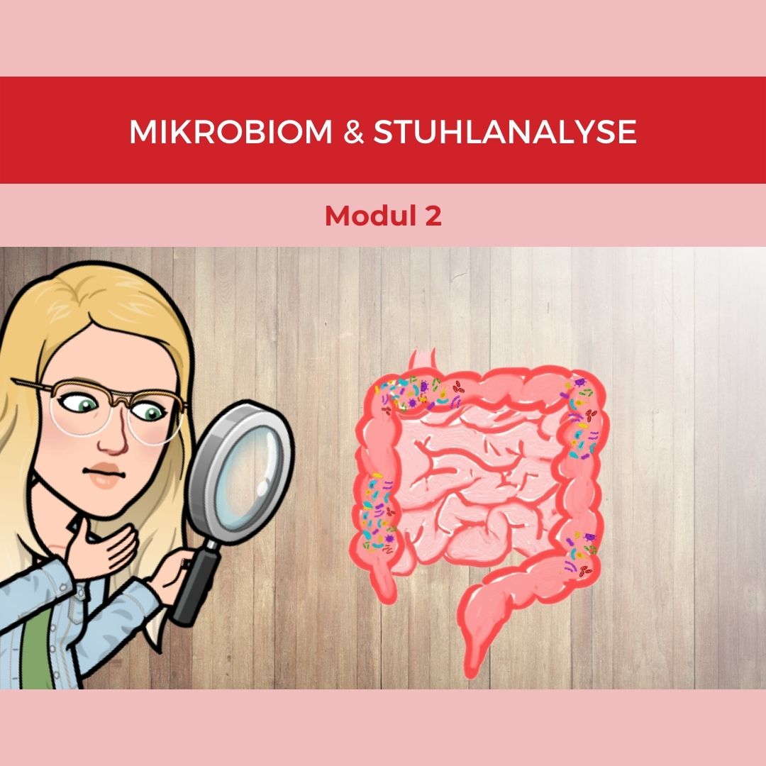 Modul 2_ Mikrobiom & Stuhlanalyse