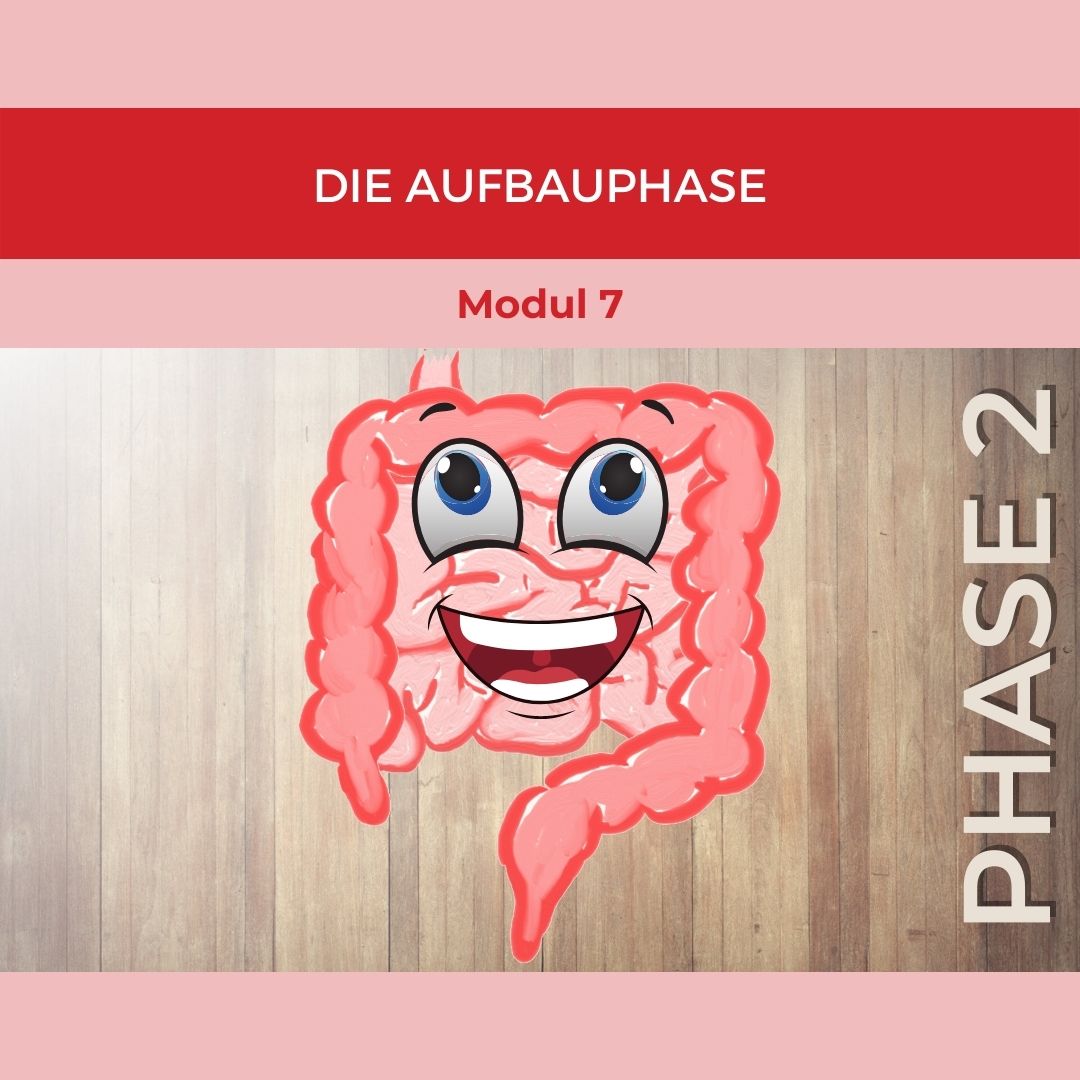 Modul 7_ Die Aufbauphase