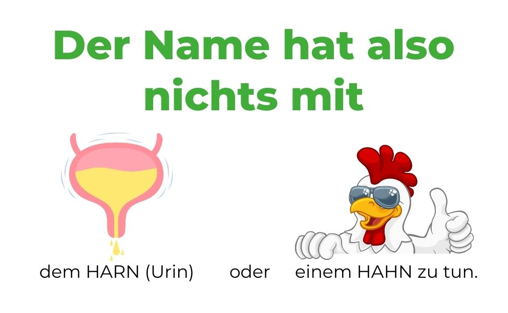 Hochzeit-Namensänderung_Eselsbrücke-Harn-Hahn-Handorfer_Diaetologie-Eberharter