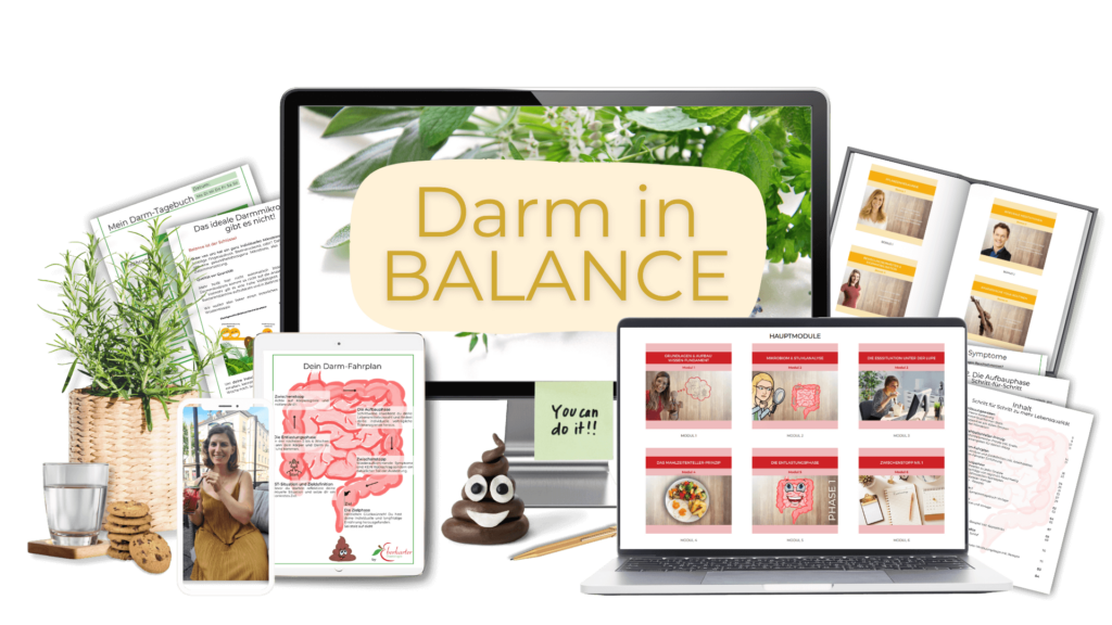 Mockup Darm in Balance transparent Mockup Darm in Balance Diaetologie Eberharter