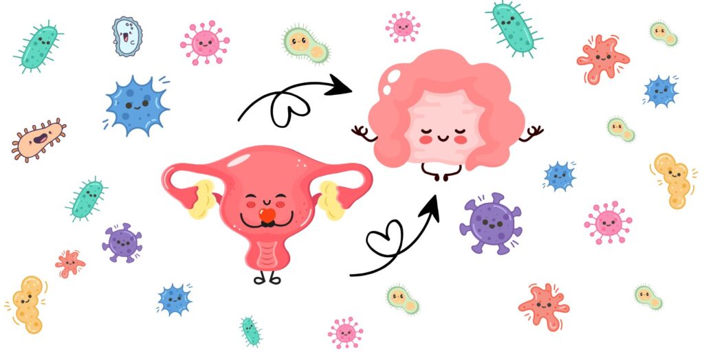 Endometriose und Darmgesundheit: Welche Rolle spielt das Darmmikrobiom wirklich?